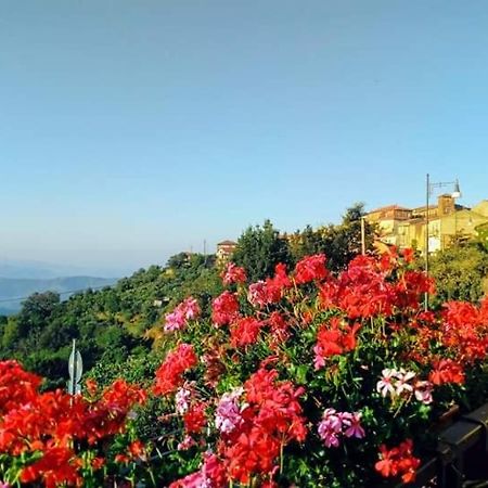 B&B Antonella Perito Ngoại thất bức ảnh